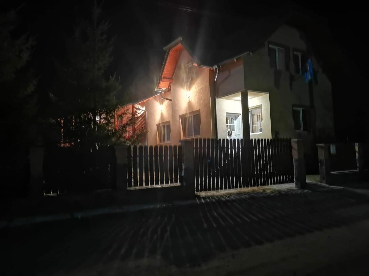 Гостевой дом Zöldfenyő vendégház Bisericani-15